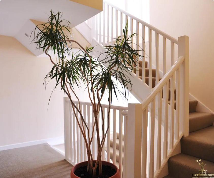 Smythen St, 2 Bed Apartment With Balcony Exeter Exterior photo